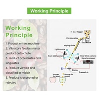 Clasificador de Granos de Café por Color con IA, Aprendizaje Profundo, Levitación Magnética, Control Remoto por APP, Clasificación por Infrarrojos, 99% de Precisión