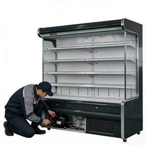 <span class=keywords><strong>Armoire</strong></span> réfrigérée commerciale à air froid, vitrine à <span class=keywords><strong>rideau</strong></span> d'air à <span class=keywords><strong>basse</strong></span> température pour le lait et les fruits - Product Image 6