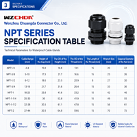 Presse-étoupe NPT1-1/4 en nylon PA66 avec indice d'étanchéité IP68 et durabilité anti-vieillissement