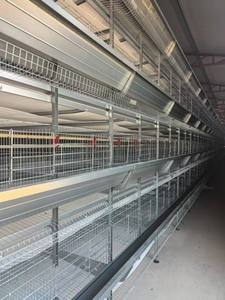 อุปกรณ์ฟาร์มสัตว์ปีก 4 6 7 8 12 ชั้น แบบกรงเลี้ยง<span class=keywords><strong>ไก่</strong></span>ไข่แบบแบตเตอรี่ <span class=keywords><strong>ราคา</strong></span>ประหยัดสำหรับฟาร์ม - Product Image 3