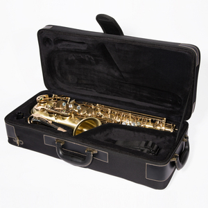 Saxophone Alto de haute qualité pour étudiants, bonne qualité, prix d'usine, livraison gratuite - Product Image 1
