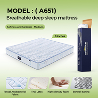 Master Ben A651 Hybrid-Matratze Gel-Memory-Schaum Massage Minimalistisches Design mit Antibakteriellem Stoff-Topper für Villa/Hotel-Nutzung Box
