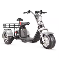 Triciclo Eléctrico de 3 Ruedas, Ampliamente Utilizado, Scooter Eléctrico Personalizable con Control Remoto