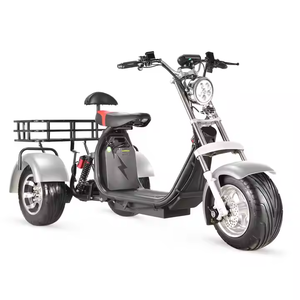 Triciclo Eléctrico de 3 Ruedas, Ampliamente Utilizado, Scooter Eléctrico Personalizable con Control Remoto - Product Image 1