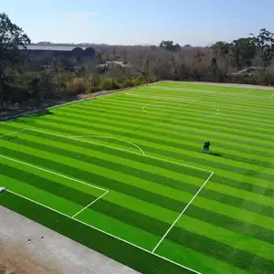 Football Grass Mat High Quality Artificial Grass Mats For Playground