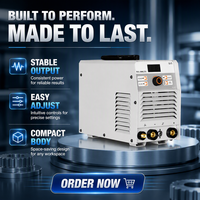 Poste à souder TIG 300GTS DC Inverter MMA double tension 220V 380V 300A pour soudage à l'arc tungstène argon de l'acier inoxydable
