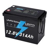 Batteries au lithium solaires OEM/ODM CE UE 24V 12V 100Ah 200Ah 300Ah à décharge profonde, Lithium Fer LifePo4 pour système d'énergie solaire