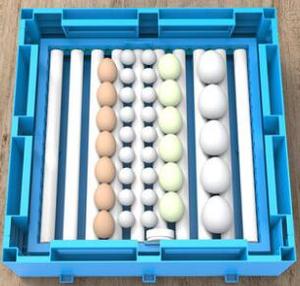 <span class=keywords><strong>Mini</strong></span> Incubadora de Huevos de Gallina de 64 Huevos, Diseño Nuevo 2021, Color Azul - Product Image 4
