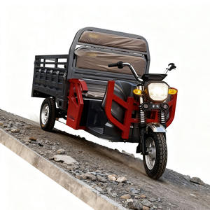 Tricycle électrique de cabine de 1.6m avec puissance de <span class=keywords><strong>1500W</strong></span> et tricycle de cabine ouverte en acier inoxydable de 72V - Product Image 2
