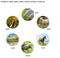 Machine à traire automatique de bonne qualité pour les vaches, machine à traire électrique portable pour les vaches et les chèvres