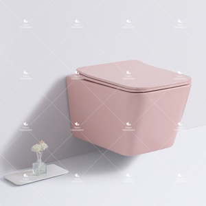 Châu Âu thiết kế đơn giản CE Matte nhiều <span class=keywords><strong>m</strong></span>àu chất lượng tốt treo tường nhà vệ sinh bát phòng tắ<span class=keywords><strong>m</strong></span> thiết bị vệ sinh tường treo nhà vệ sinh commode - Product Image 5