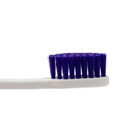 Brosse à dents manuelle en plastique pour adultes avec logo personnalisé, emballée individuellement, pour hôtels, fourniture en gros