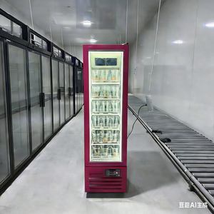 Congélateur vertical commercial à porte vitrée, réfrigérateur de présentation profond pour supermarché, restaurant, stockage d'aliments surgelés - Product Image 5