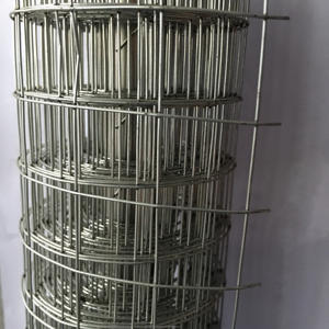 Rotolo di Rete Metallica Saldata in Acciaio Rivestita in PVC Anticorrosione, Tessitura Piana, 48 Pollici x 100 Piedi, per Recinzioni - Product Image 3