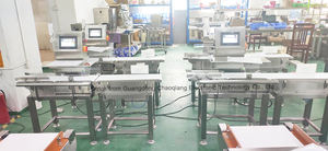 식품 산업 자동 저렴한 벨트 컨베이어 체크 가방/컨베이어로 식품 가공을위한 가중치 확인기 - Product Image 6