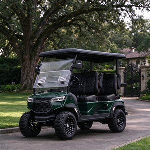 Voiturette de golf électrique tout-terrain 4 places avec système audio, véhicule de tourisme de luxe pour parcs panoramiques - Product Image 1