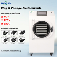 Huislyofilisator Automatische 15kg Vacuümvriesdroogmachine PLC Pomp Hoge Productiviteit Milieuvriendelijk Fruit Groenten