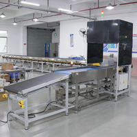 Machine de tri de colis DWS dynamique avancée pour le routage automatique des colis et l'automatisation des entrepôts logistiques