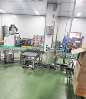Box Robot lengan Palletizer palet kerja sama mesin palletisasi Robot harga