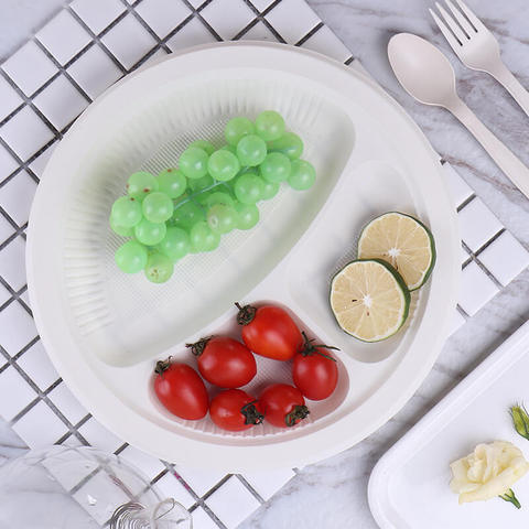 Disposable Dinner Plates Square Plastic 6 Dessert