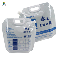 Pochettes pliables personnalisées 1L 5L 10L pour randonnée avec poignée et bec verseur, pour bière, liquides, vodka, eau, en plastique, avec valve papillon