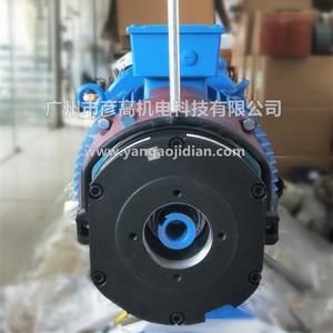Disco de Freno para Motor de Elevador Hitachi BFK458-25E 400/600Nm 180V 254mm, Freno de Seguridad por Corte de Energía, Uso Industrial - Product Image 4