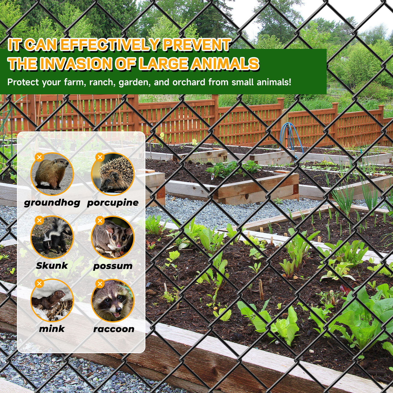 Chain Link Fence 6x50