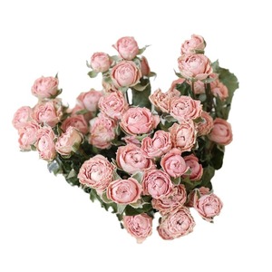 Branches de fleurs naturelles séchées multi-têtes en forme de diamant, mini-roses séchées à l'air, vraies fleurs Rosa Multiflora pour arrangements floraux, bouquets et vases - Product Image 5