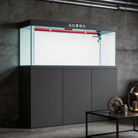 Aquarium de luxe en verre ultra-blanc de 400L pour poissons dragons avec filtre intégré et contrôleur intelligent