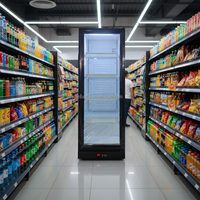 Réfrigérateurs à vin et boissons verticaux à porte vitrée avec éclairage LED, 220V, équipement de réfrigération à compresseur, vitrine réfrigérée pour stockage instantané de boissons