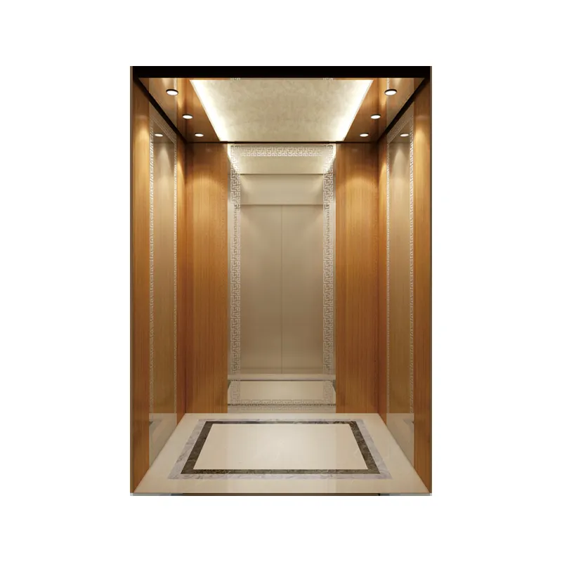 Best Selling Home-Use elevator luxury villa elevator 400KG residential elevator