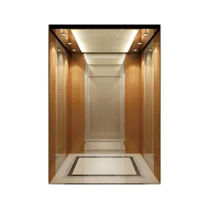 Best Selling Home-Use Elevator Luxury Villa Elevator 400KG Residential Elevator