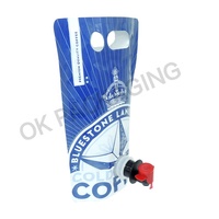 Boîte de sac aseptique personnalisé réutilisable 3L 5L en feuille d'aluminium à double pli à fond pour l'emballage de boissons et de jus de fruits