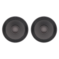 Subwoofer dual TJ-KS28 de 18 pulgadas para sistema de arreglo lineal PA, conjunto de altavoces de graves de neodimio de 18''.