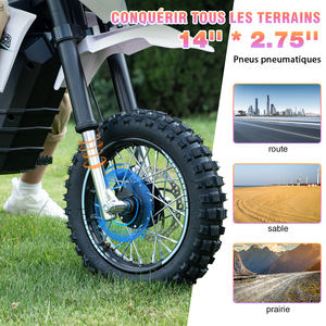 Vélo électrique 2 roues 42v 800w Vélo à roue d'équilibre 14 pouces <span class=keywords><strong>Moto</strong></span> Ebike - Product Image 5