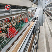 Équipement d'élevage de poulets automatique de conception moderne, cage à poulets de type H pour les Philippines avec système d'alimentation et d'abreuvement