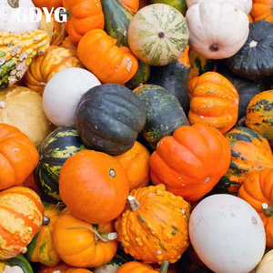 Offerte di Verdure Surgelate per la Produzione/Importazione: Alimenti Surgelati e Verdure a Cubetti, Zucca Surgelata per Acquirenti di Verdure - Product Image 2