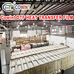 Cowint dtf-film ile 14 "16" ahşap cam transfer kağıdı 50cm x 100 metre taraflı Pretreat Can 60cmX100 renk dtf-film