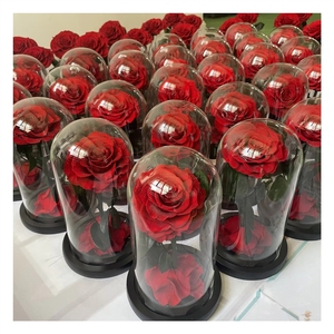 Rose Eterne Preservate Incantate in Cupola di Vetro con LED - Product Image 1