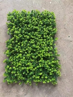 Mur végétal vertical en fleurs résistantes aux UV en plastique pour la décoration de la maison et du jardin