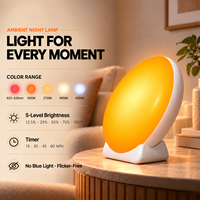 Lampu Meja LED Lima Warna untuk Kamar Hotel Butik Grosir, Kecerahan Dapat Disesuaikan, Timer 15-60 Menit