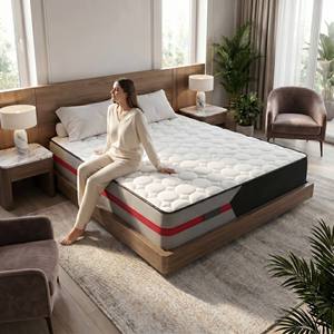 Matelas à ressorts fermeté moyenne pour chambre à coucher, haute qualité pour école, mousse écologique, Euro Top, <span class=keywords><strong>pas</strong></span> <span class=keywords><strong>cher</strong></span>, Queen, Double - Product Image 5