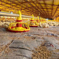 Nouvel équipement d'élevage au sol pour poulets de chair, système d'alimentation automatique pour élevage avicole, mangeoire à plateau et ligne d'abreuvoirs à tétine