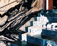 Dalle naturelle de granit de cheval noir de pierre de veines noires et blanches pour des carrelages de plancher et de mur