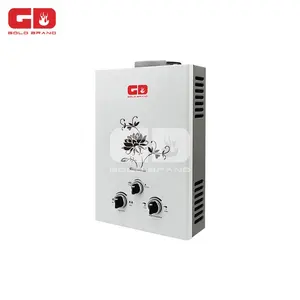 China professional manufacture bathroom natural tankless gas water heater