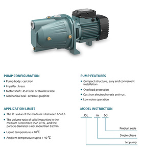 Pompe à jet Grandfar 220V 1HP 750W pour eau propre et eaux usées, compatible OEM, centrifuge JSLm100 Version K1, haute puissance - Product Image 4