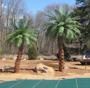 Pohon palem besar, dekorasi pernikahan sentuhan nyata pohon besar pohon palem buatan untuk luar ruangan - Product Image 2