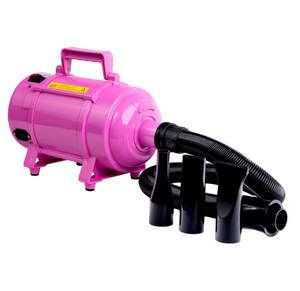 PetFit-Sèche-cheveux silencieux pour animaux de compagnie <span class=keywords><strong>avec</strong></span> une puissance de 2200W pour salon de toilettage pour animaux de compagnie - Product Image 1