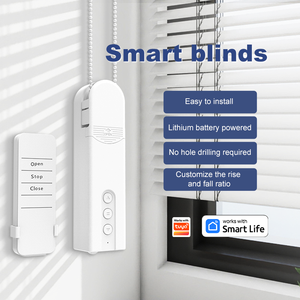 Tuya Zigbee Bluetooth Mini Chain Motorized <strong>Roller</strong> Blinds Smart <strong>Motor</strong> Driver for Bedroom &amp; Living Room Curtain Opener - Product Image 1