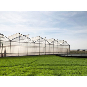 Film PE anti-UV AGG blanc jaune <span class=keywords><strong>200</strong></span> <span class=keywords><strong>microns</strong></span> <span class=keywords><strong>pour</strong></span> couverture de <span class=keywords><strong>serre</strong></span> agricole - Product Image 6